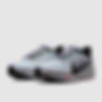 Pegasus 41