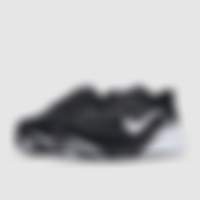 Air Zoom Pegasus 42 Wide