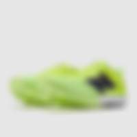 FuelCell Flite-D