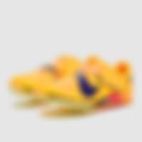 Long Jump Elite